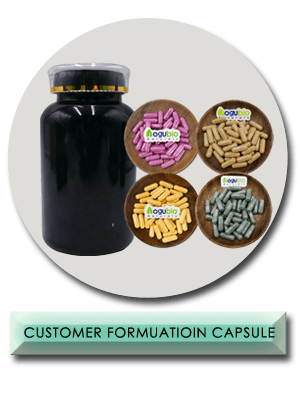Caffiy Shilajit Ginseng Capsules, product photo 2