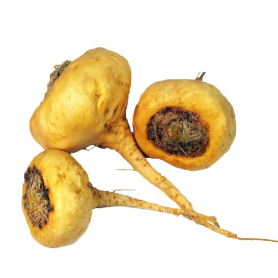 Caffiy Maca Root Powder, product photo 3